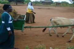 Strengthening_Resilient_Livelihoods_Project_RELIP__2019_-_2022-1