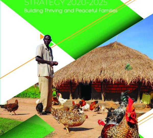 AFARD Strategy 2020-25